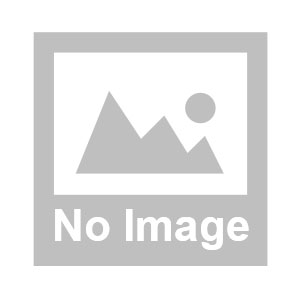 電子新聞採訪,SEO網站優化